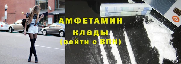 мдпв Карпинск