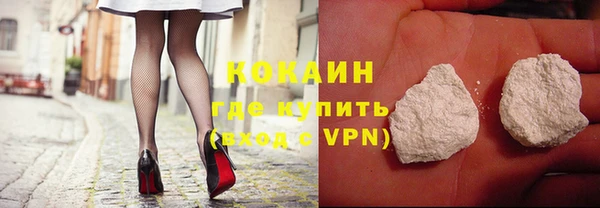мдпв Карпинск