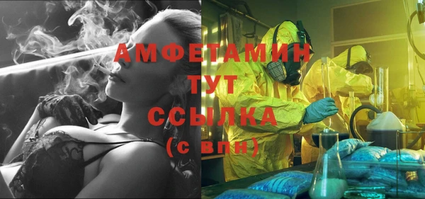 мдпв Карпинск